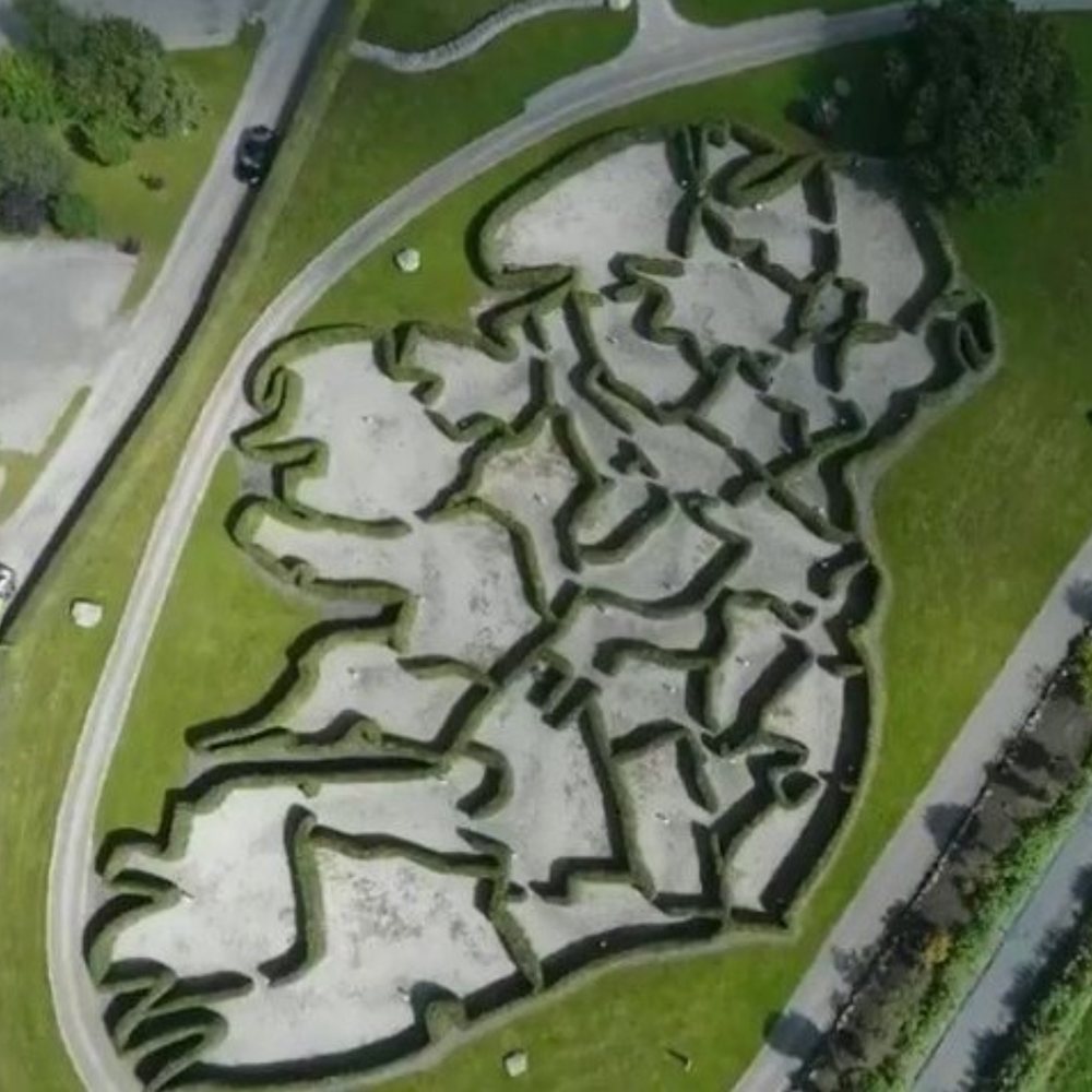 Aerial view of the Maze of Ireland, a hedge maze shaped like the map of Ireland